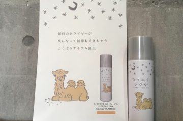 マイニチラクダ